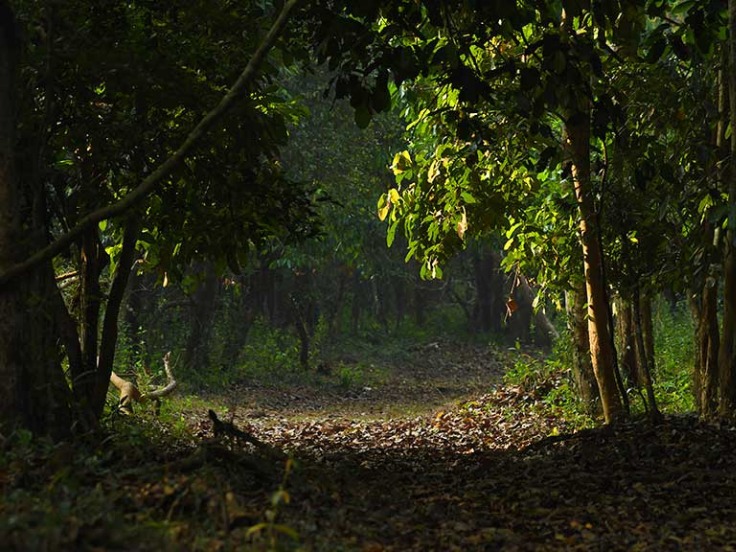 Aralam Farm Senora
