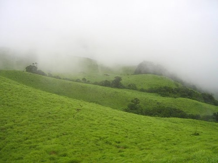 Paithalmala Senora